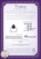 product certificate: UK-JAK-B-AA-89-R-Sarah