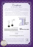 product certificate: UK-JAK-B-AAA-89-E-Tamara