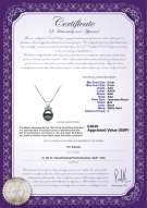 product certificate: UK-JAK-B-AAA-89-P-Vivian