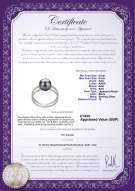 Product certificate: UK-JAK-B-AAA-89-R-Rahara