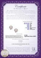 product certificate: UK-JAK-W-AA-67-E-Jodie