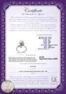 product certificate: UK-JAK-W-AA-89-R-Grace
