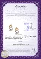 product certificate: UK-JAK-W-AAA-89-E-Anastasia
