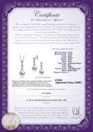 product certificate: UK-JAK-W-AAA-89-S-Rozene