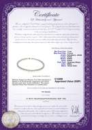 product certificate: UK-JAK-W-AAAA-775-N-Hana-18
