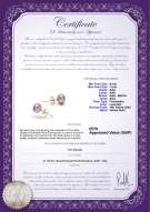 Product certificate: UK-P-67-E-OLAV