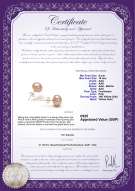 Product certificate: UK-P-910-E