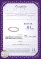 product certificate: UK-P-AA-67-B-OLAV