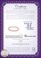 Product certificate: UK-P-AA-67-B