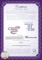 product certificate: UK-P-AA-67-N-OLAV-DBL