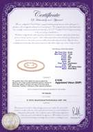 Product certificate: UK-P-AA-67-S