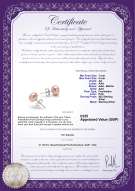 Product certificate: UK-P-AA-78-E