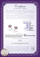 product certificate: UK-P-AA-910-E-SS-OLAV