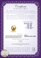 product certificate: UK-SS-G-AAA-1011-L1