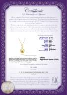 product certificate: UK-SSEA-G-AAA-1011-P-Gisela