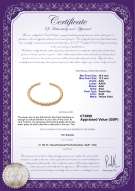 product certificate: UK-SSEA-G-N-C302