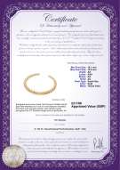 product certificate: UK-SSEA-G-N-C304