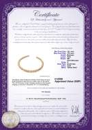 product certificate: UK-SSEA-G-N-C311