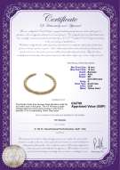 product certificate: UK-SSEA-G-N-C315