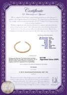 product certificate: UK-SSEA-G-N-C318