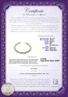 product certificate: UK-SSEA-MULTI-N-C321