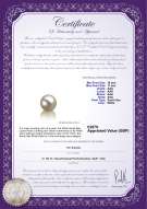 product certificate: UK-SSEA-W-AAA-1011-L1