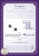 product certificate: UK-TAH-1011-E