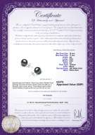 product certificate: UK-TAH-B-AA-1011-E