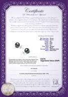 Product certificate: UK-TAH-B-AA-1011-E