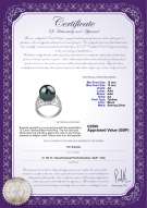 product certificate: UK-TAH-B-AA-1213-R-Alva