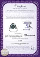 Product certificate: UK-TAH-B-AA-1213-R-Ireland