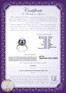 product certificate: UK-TAH-B-AA-1213-R-Yanaka