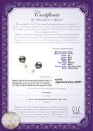 product certificate: UK-TAH-B-AA-910-E