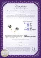 Product certificate: UK-TAH-B-AA-910-E