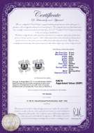 product certificate: UK-TAH-B-AAA-1011-E-Abigail