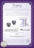 product certificate: UK-TAH-B-AAA-1011-E-Berry