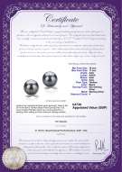 Product certificate: UK-TAH-B-AAA-1011-E-Berry