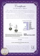 product certificate: UK-TAH-B-AAA-1011-E-Butterfly