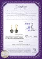 Product certificate: UK-TAH-B-AAA-1011-E-Elements