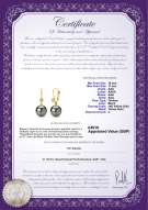 Product certificate: UK-TAH-B-AAA-1011-E-Illuminate