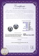 Product certificate: UK-TAH-B-AAA-1011-E-Tammy