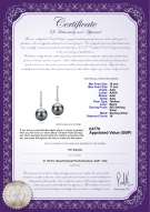 Product certificate: UK-TAH-B-AAA-1011-E-Verna