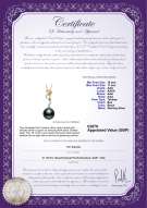 Product certificate: UK-TAH-B-AAA-1011-P-Brianna