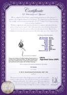 product certificate: UK-TAH-B-AAA-1011-P-Florence