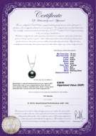 Product certificate: UK-TAH-B-AAA-1011-P-Gabrielle