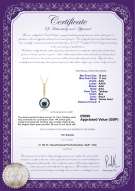 product certificate: UK-TAH-B-AAA-1011-P-Janet