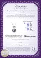 Product certificate: UK-TAH-B-AAA-1011-P-Marte