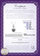 product certificate: UK-TAH-B-AAA-1011-P-Maude