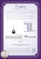 product certificate: UK-TAH-B-AAA-1011-P-Romola