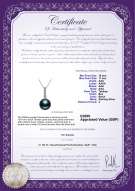 product certificate: UK-TAH-B-AAA-1011-P-Ross
